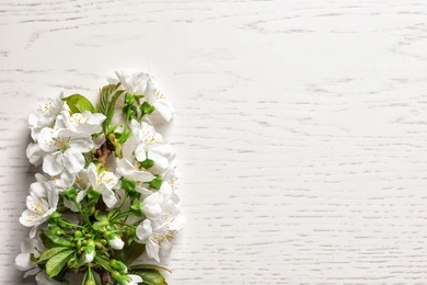 Photo of Beautiful blossoming branch on wooden background