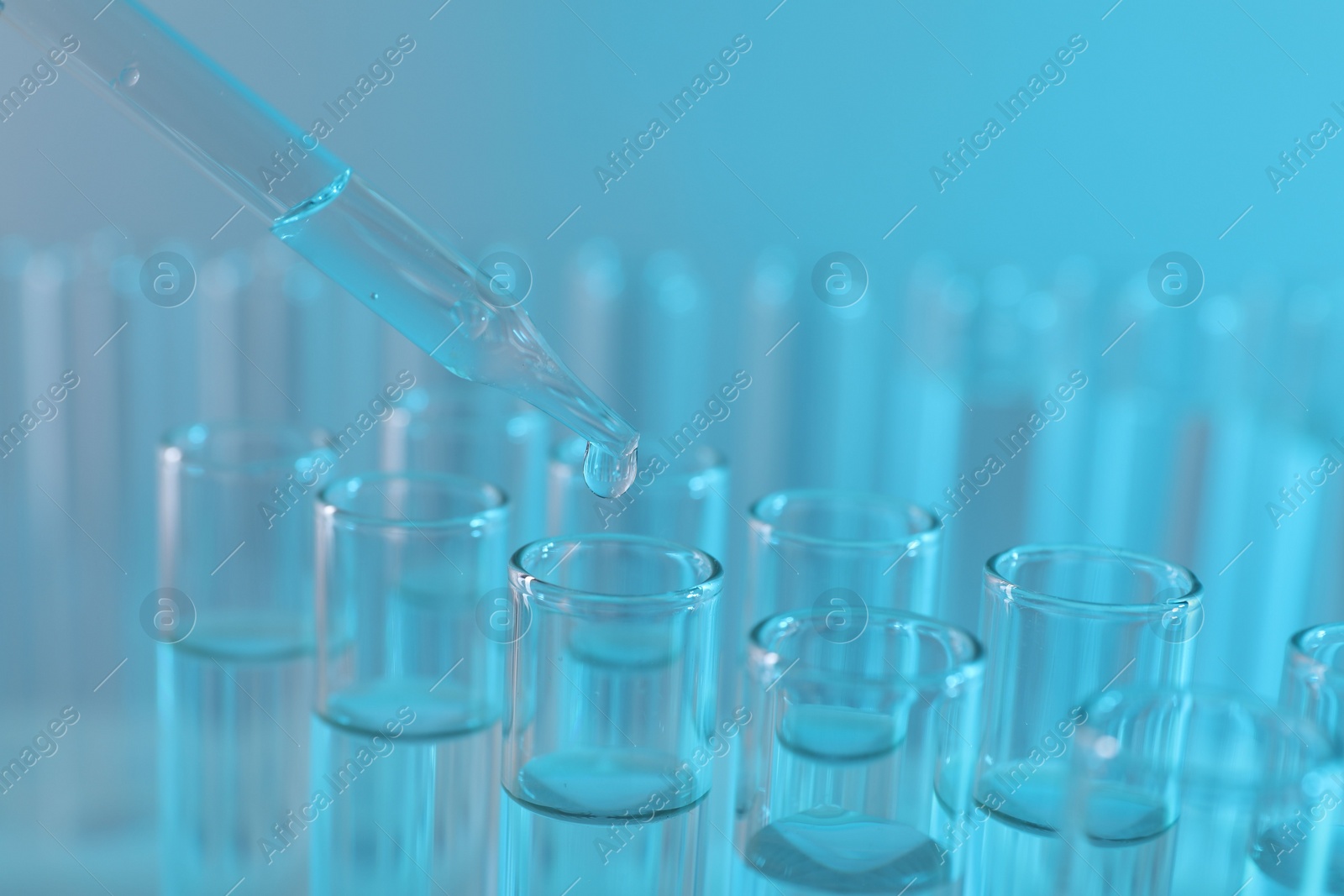 Photo of Laboratory analysis. Dripping liquid from pipette into glass test tube on light blue background, closeup