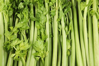 Photo of Fresh ripe green celery as background, closeup