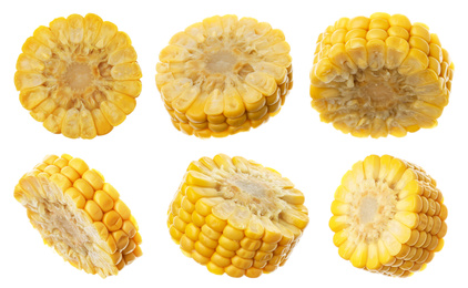Image of Corn cob pieces flying on white background