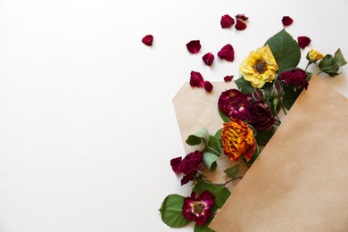 Photo of Flat lay composition with beautiful dried flowers in envelope on white background. Space for text
