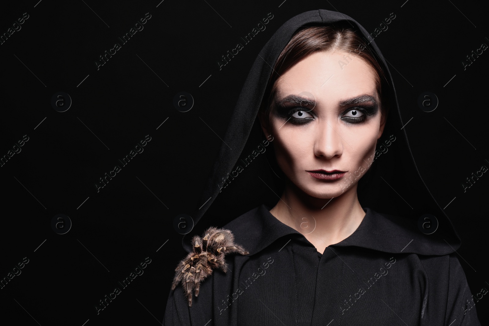 Photo of Mysterious witch with spooky spider on black background. Space for text