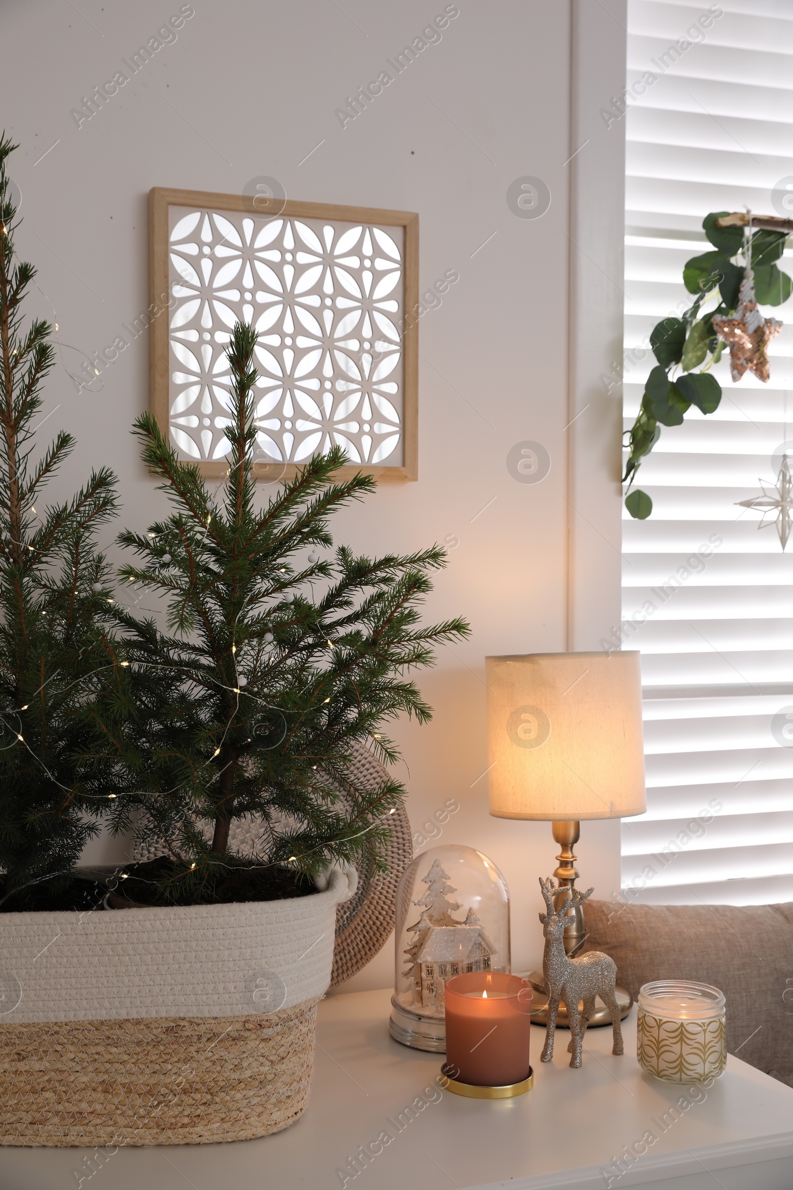 Photo of Beautiful room interior decorated for Christmas with potted firs