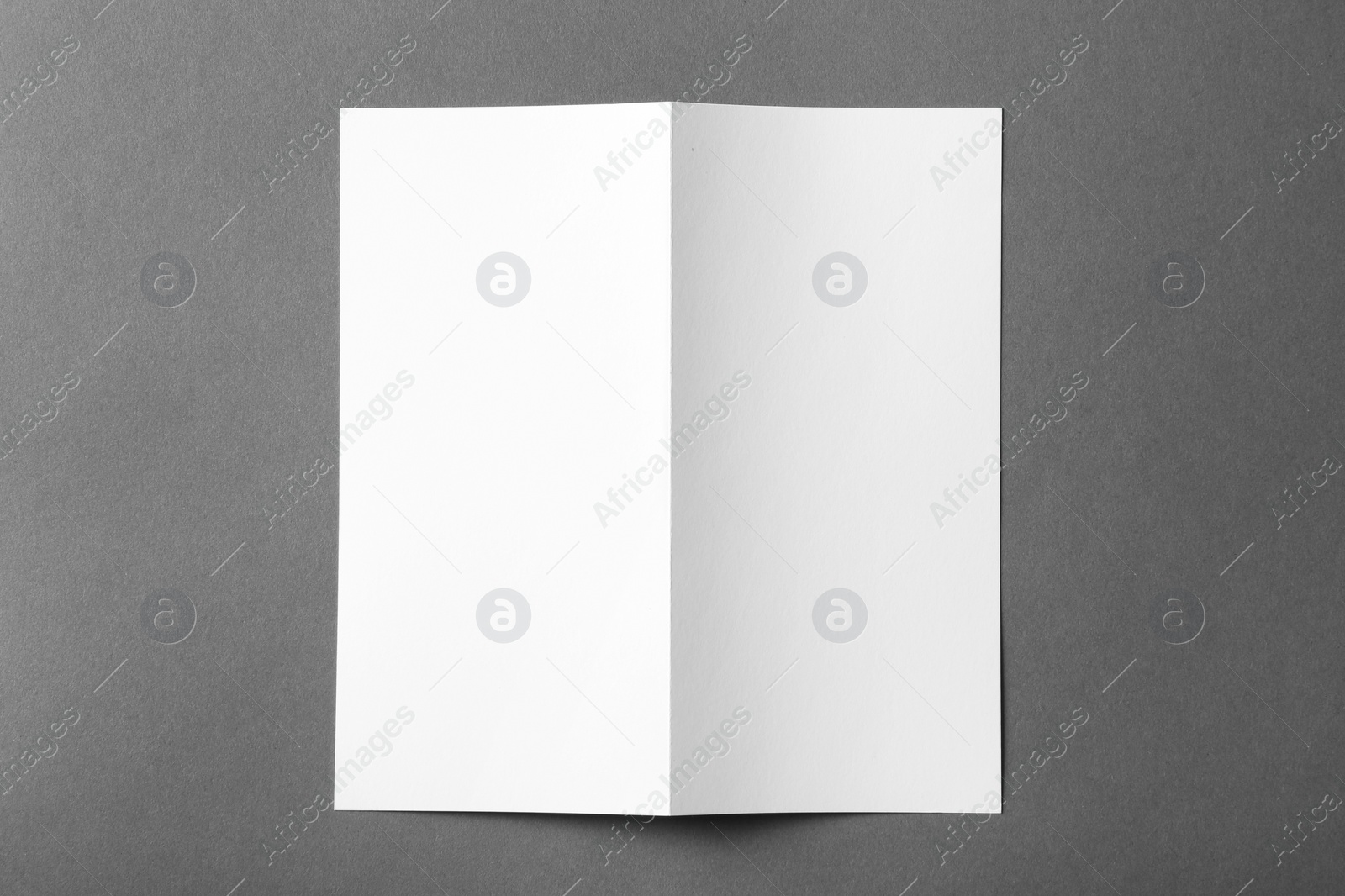 Photo of Blank brochure mock up on color background