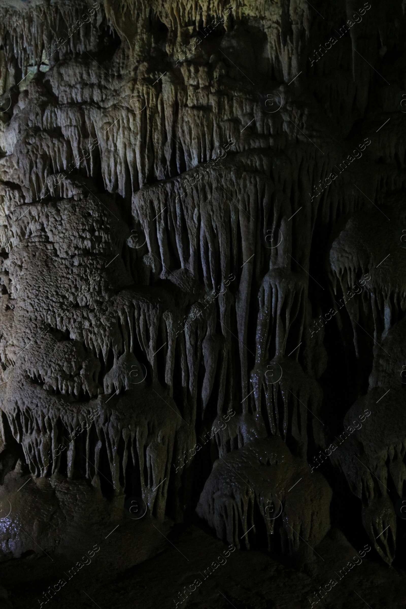 Photo of Picturesque view of many stalactite formations in dark cave