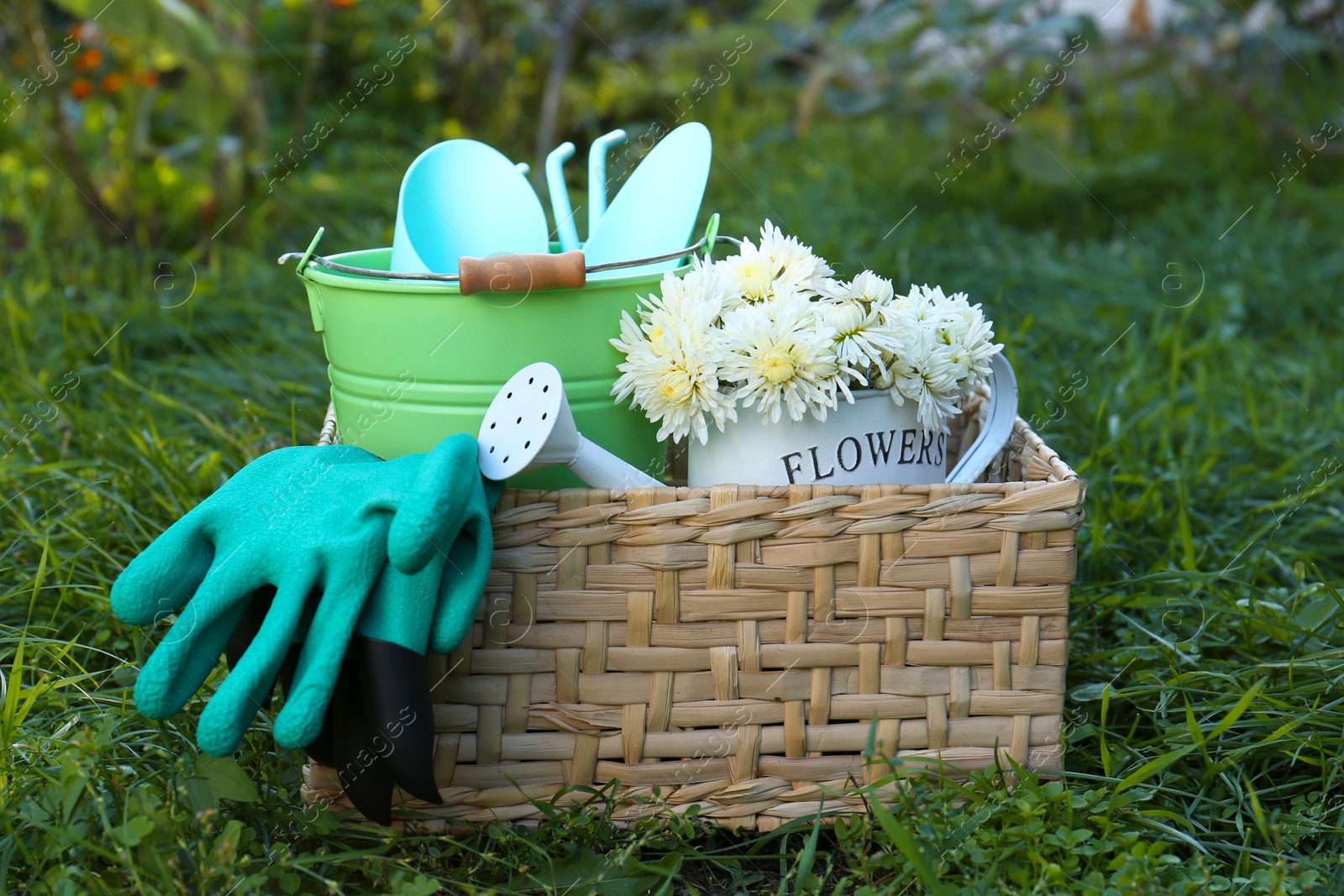 Photo of Basket with watering can, gardening tools and rubber gloves on green grass outdoors