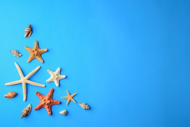 Photo of Many starfishes and shells on blue background, flat lay. Space for text