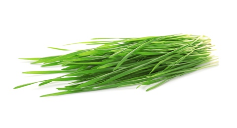 Green organic wheat grass on white background