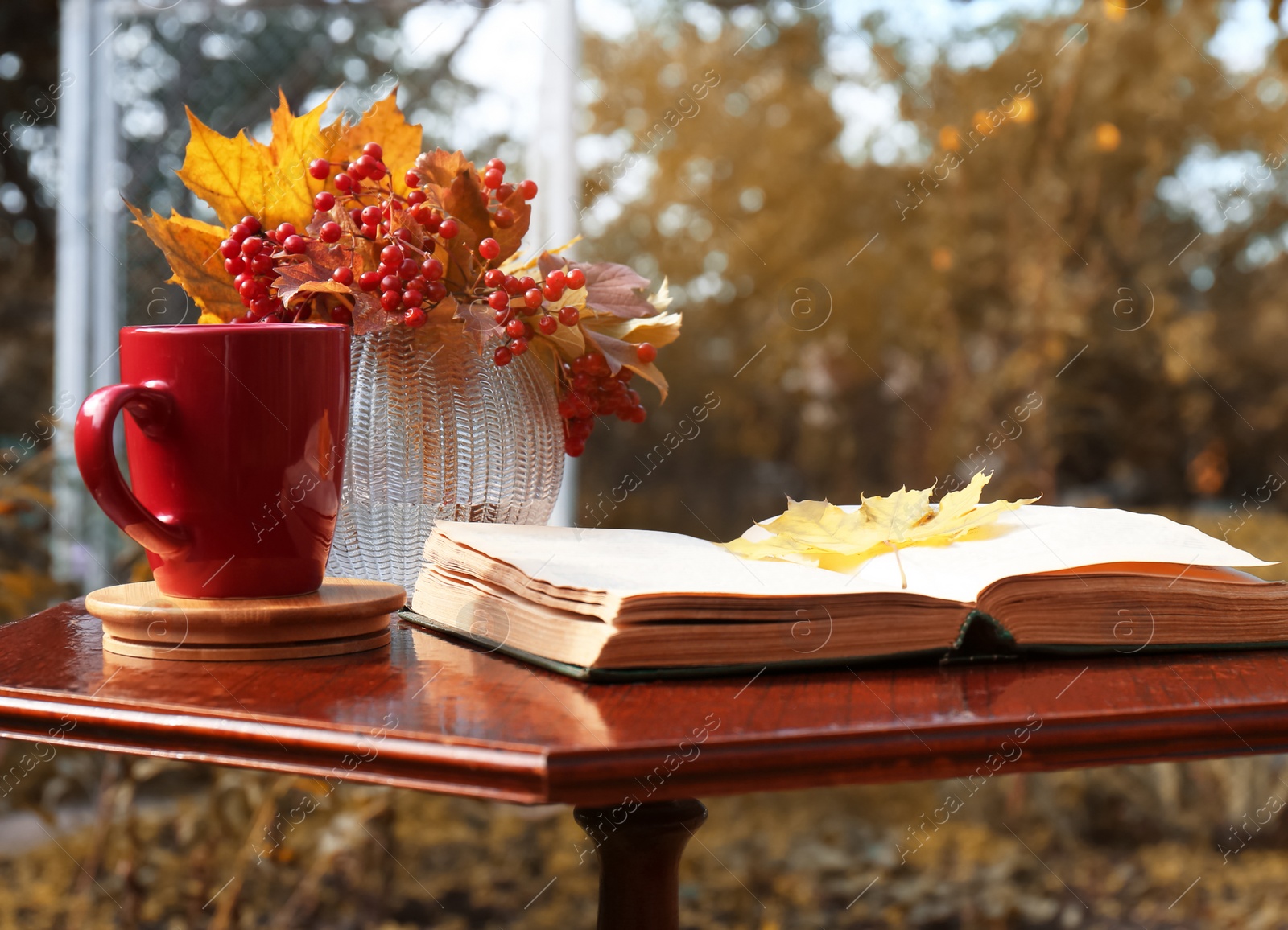 Photo of Cup of hot drink, book and dry leaves with viburnum on wooden table outdoors. Autumn atmosphere