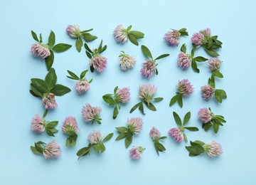 Beautiful clover flowers with green leaves on light blue background, flat lay