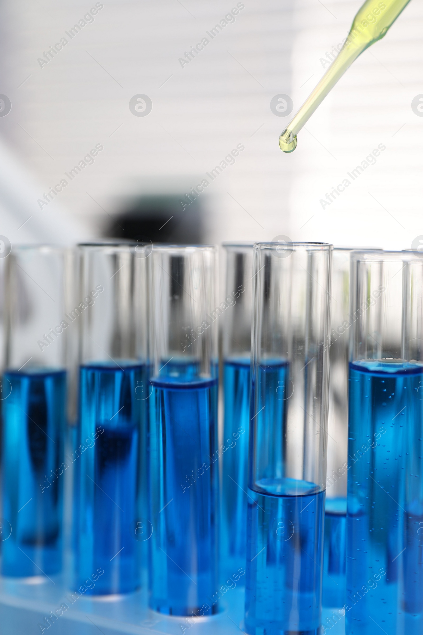 Photo of Laboratory analysis. Dripping liquid into test tubes indoors, closeup