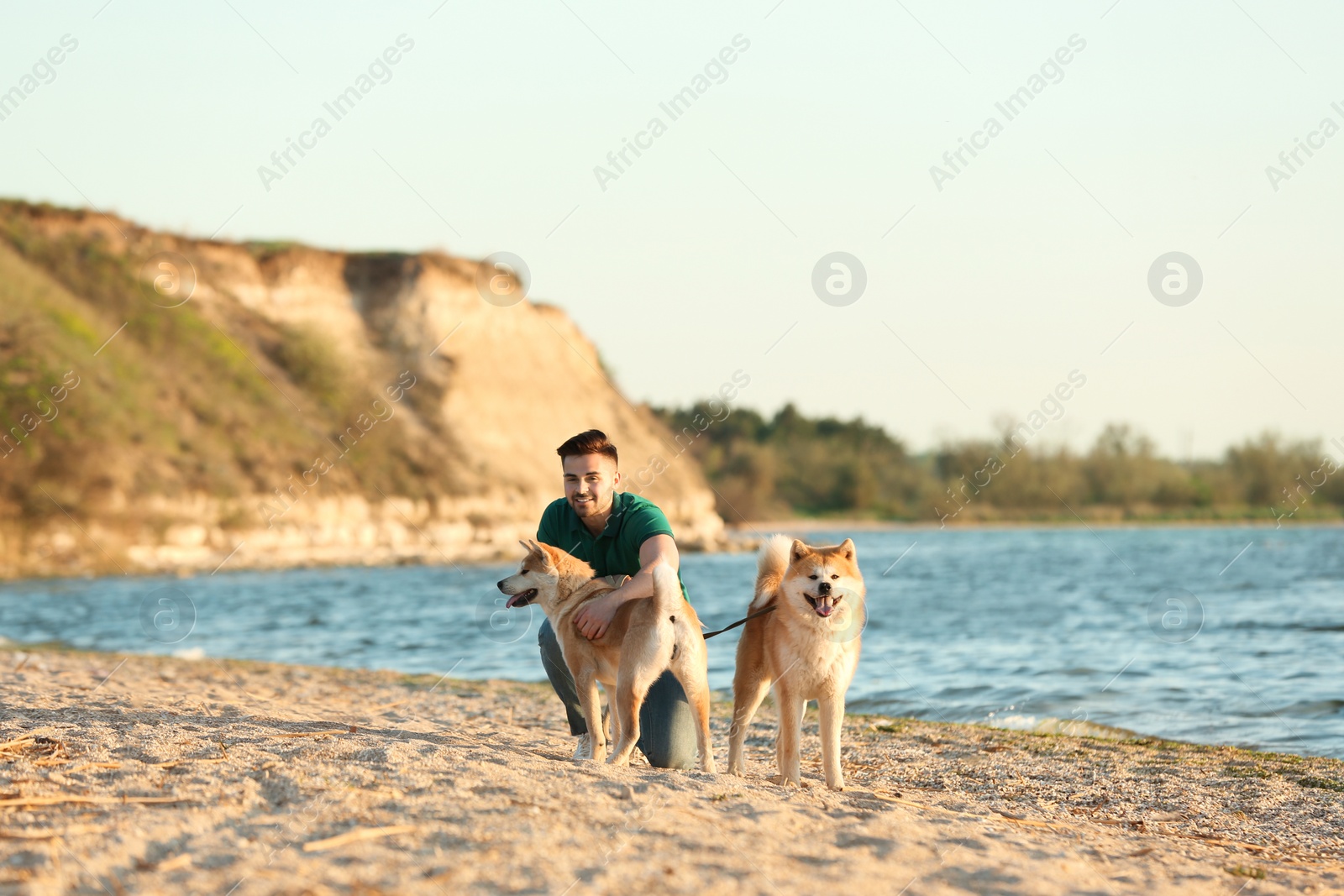 Photo of Young man walking his adorable Akita Inu dogs near river