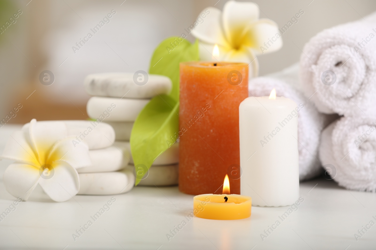 Photo of Composition with different spa products and plumeria flowers on white table, closeup