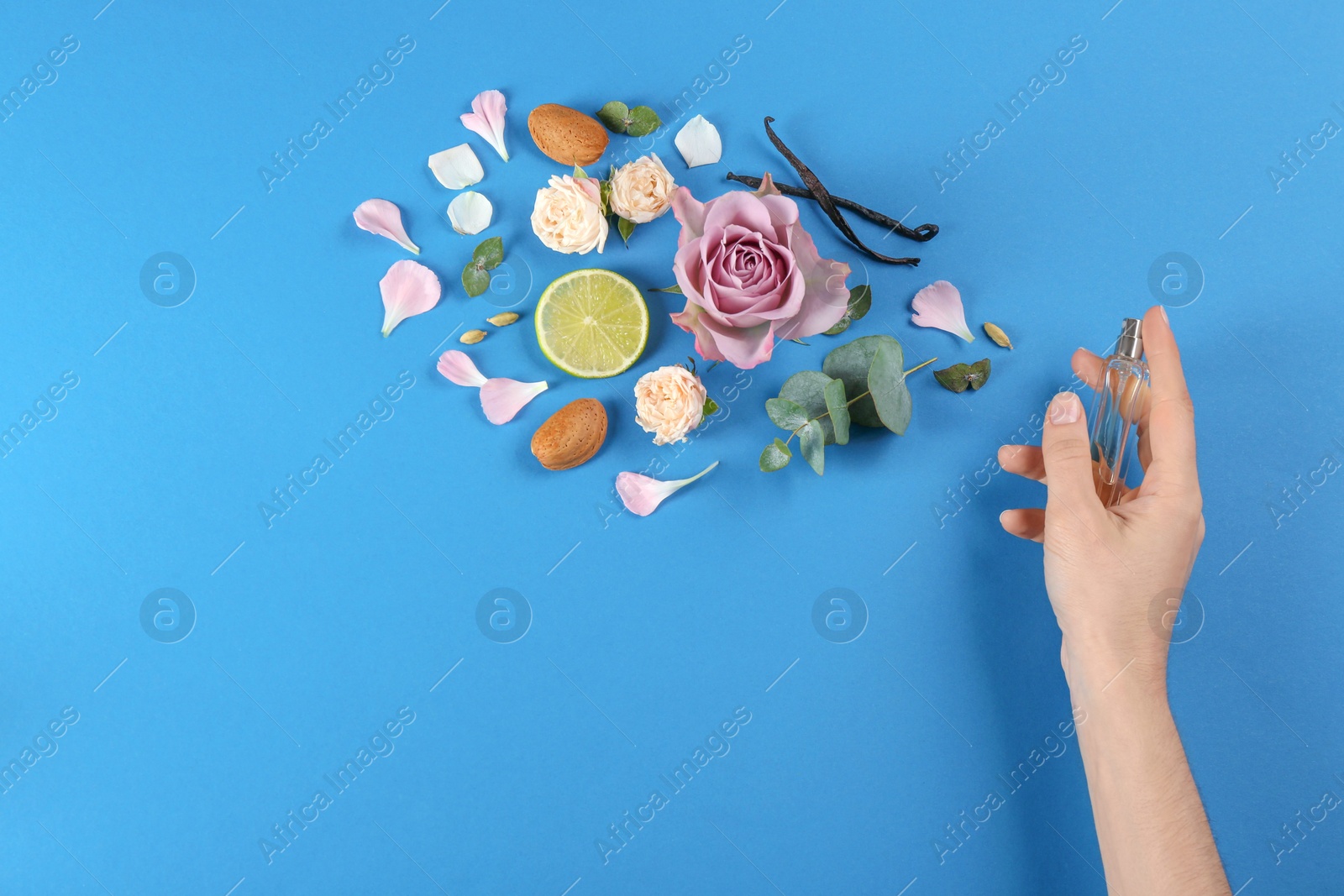 Photo of Woman with perfume. Fragrance composition, flowers and lime on blue background,  top view