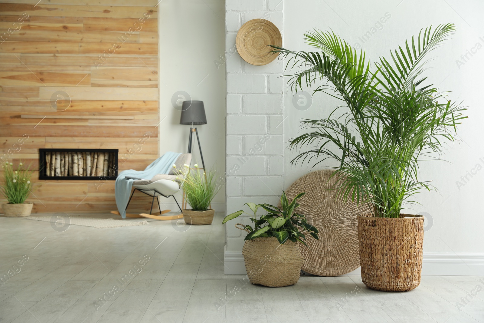 Photo of Houseplants in wicker pots on floor indoors. Interior design