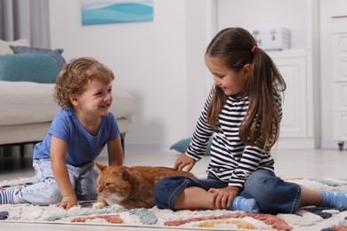 Photo of Little children petting cute ginger cat on carpet at home