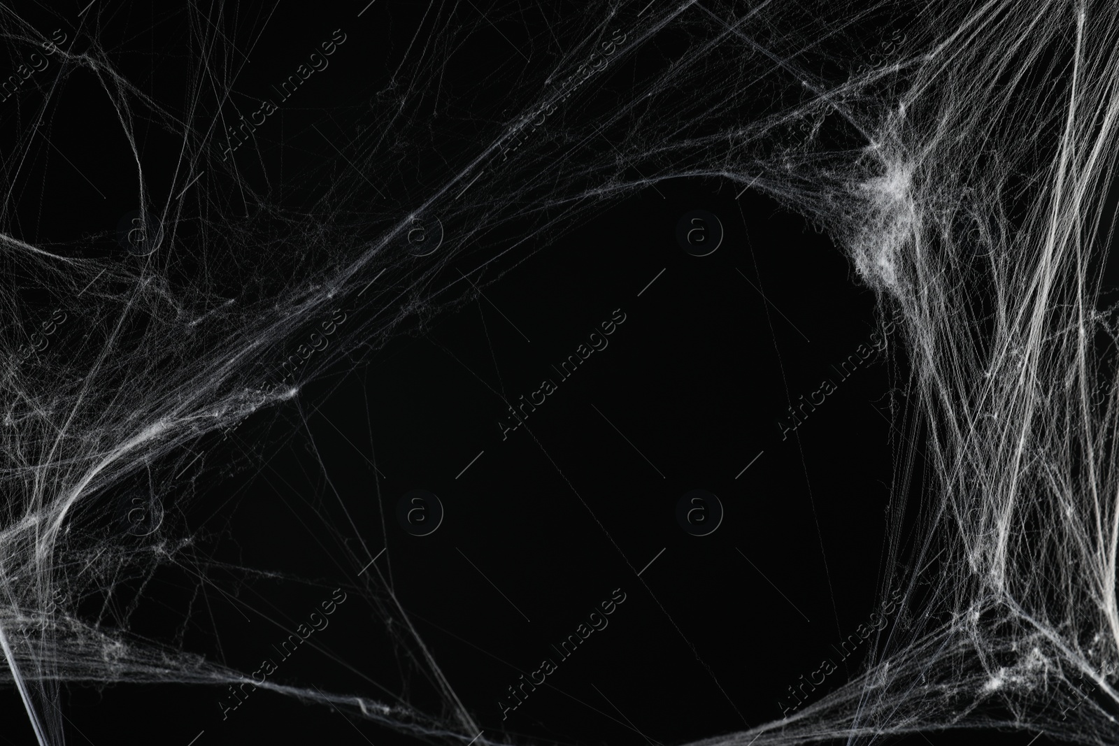 Photo of Creepy white spider web on black background