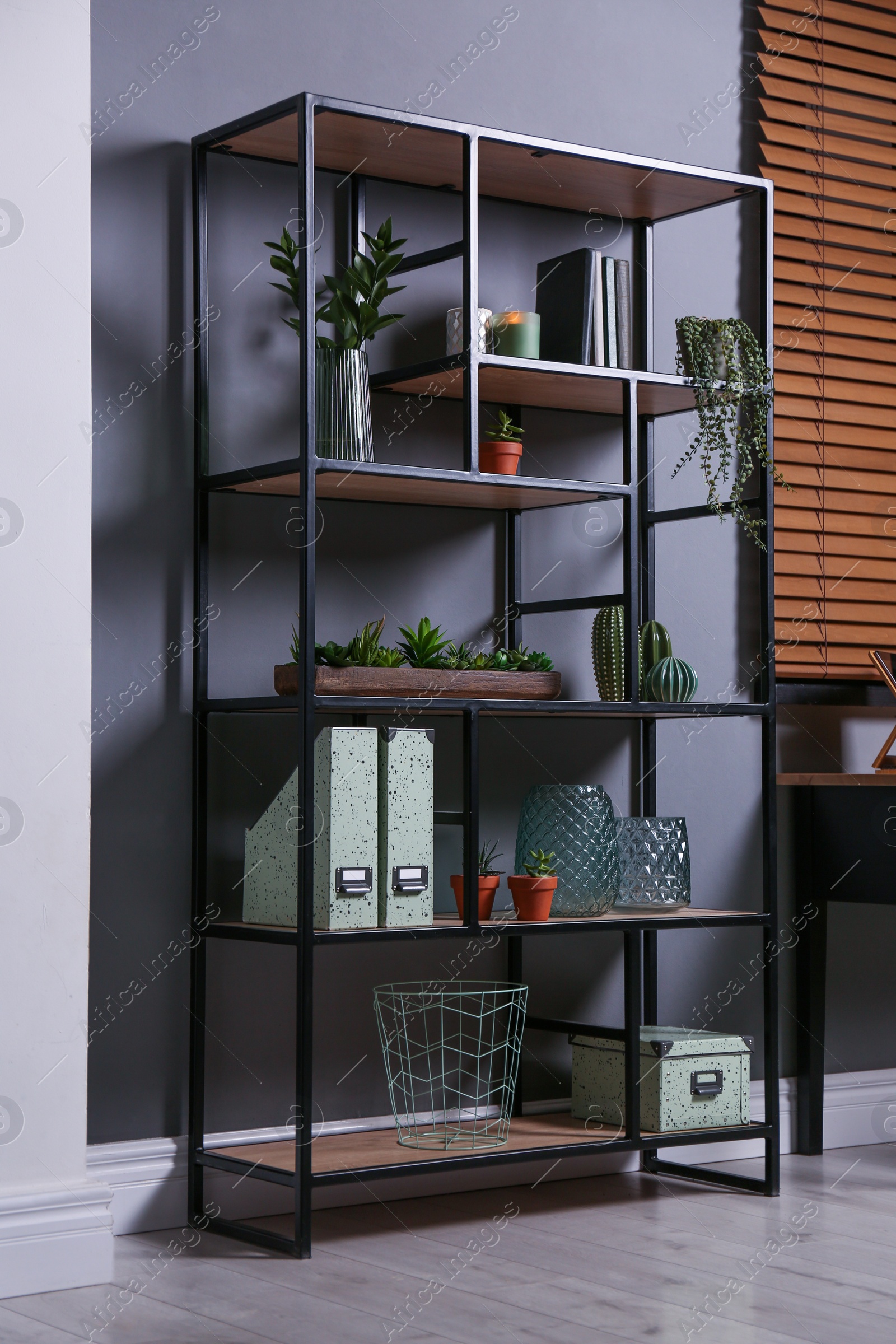 Photo of Shelving with different decor, books and houseplants near gray wall in room. Interior design