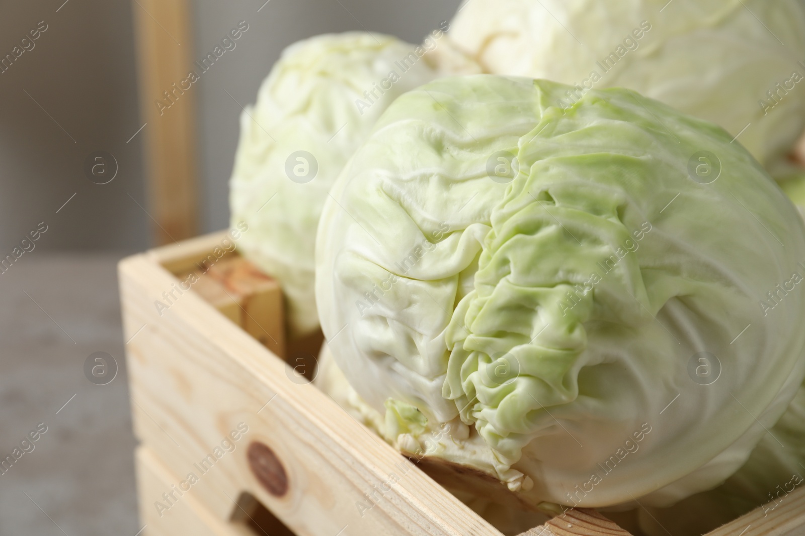 Photo of Fresh ripe cabbages in wooden crate, closeup