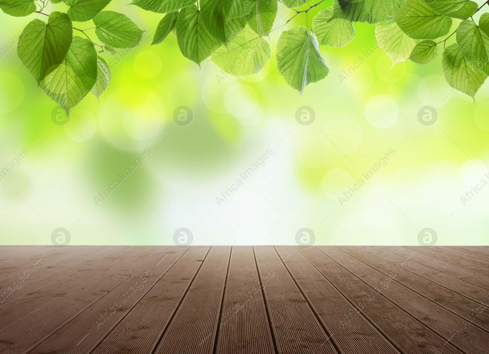 Image of Empty wooden surface and beautiful green leaves on blurred background. Bokeh effect