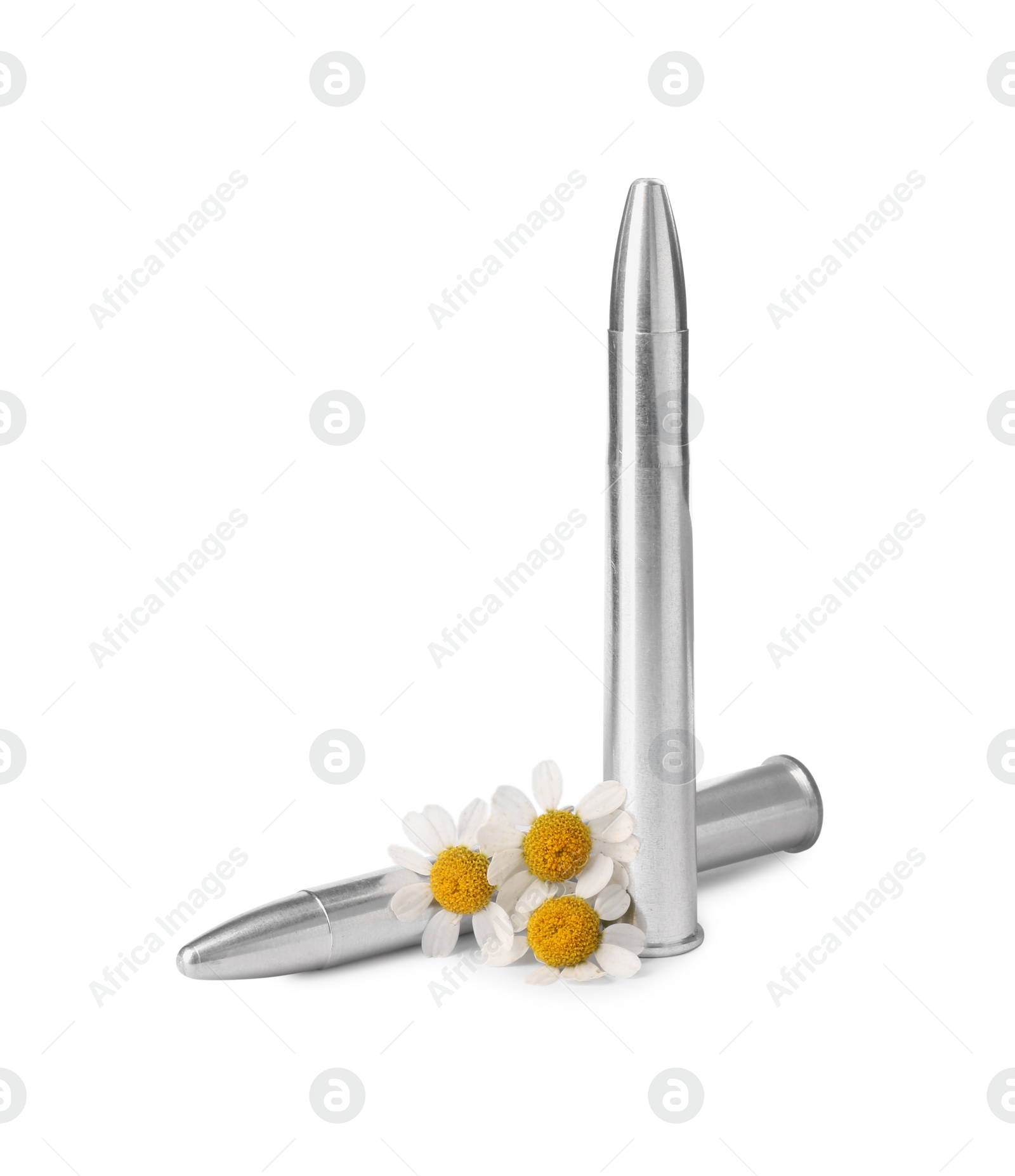 Photo of Metal bullets and beautiful flowers isolated on white