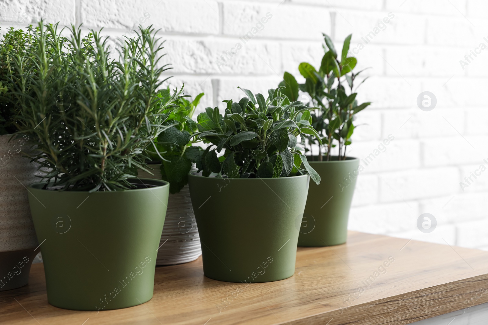 Photo of Different aromatic potted herbs on wooden table near white brick wall