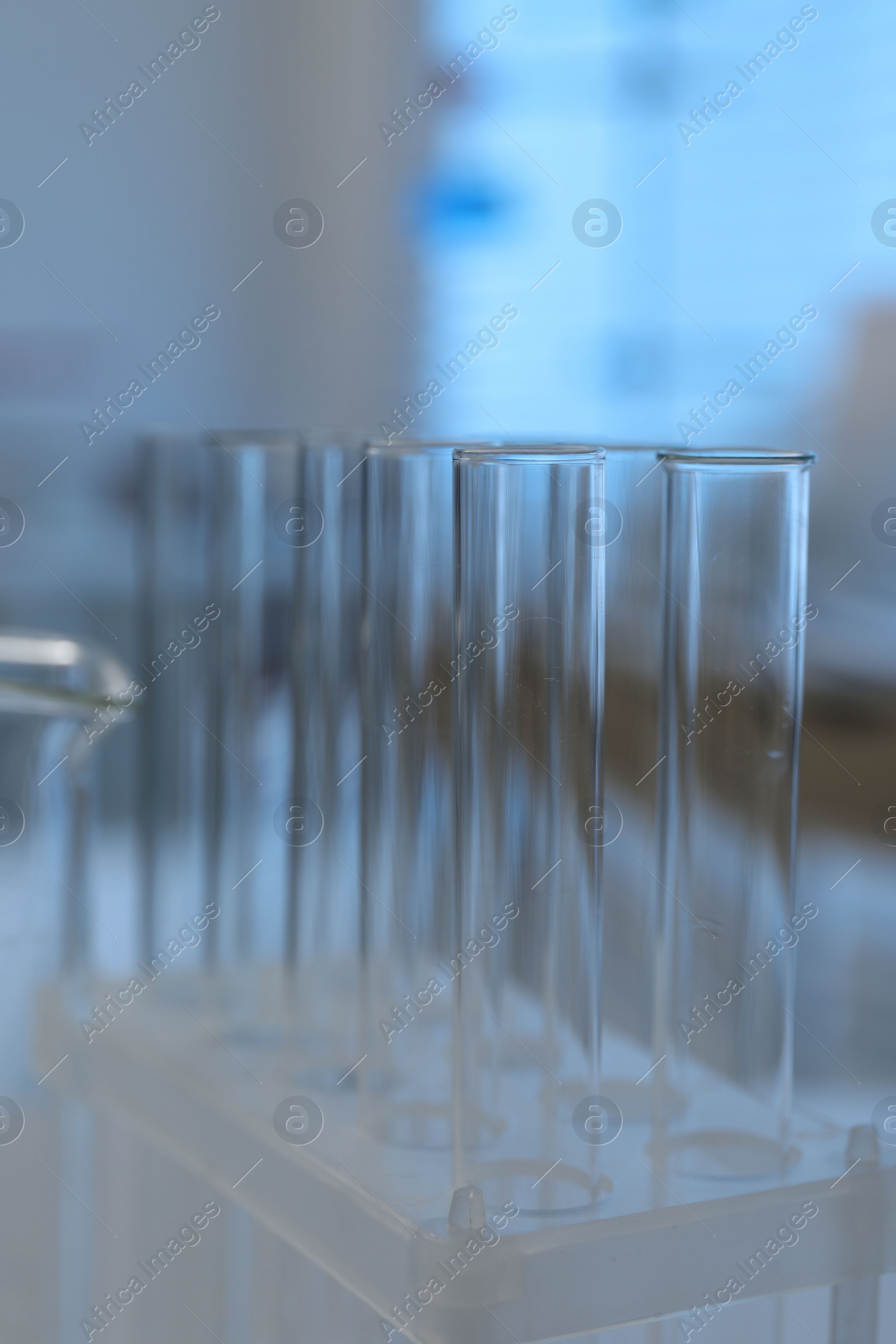 Photo of Laboratory analysis. Glass test tubes on table indoors, closeup