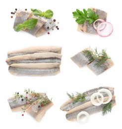 Set with delicious salted herring fillets on white background, top view