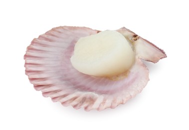 Photo of Fresh raw scallop in shell isolated on white