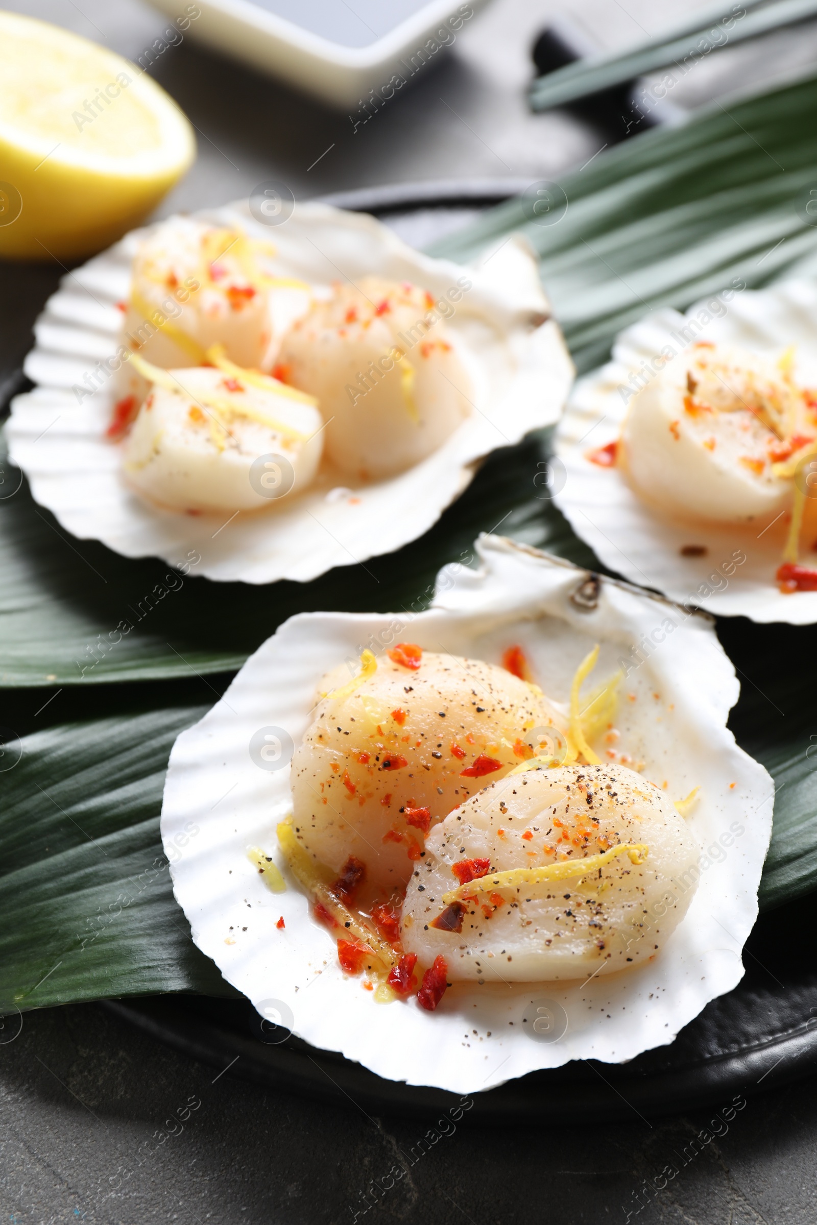 Photo of Raw scallops with spices, lemon zest and shells on grey table, closeup