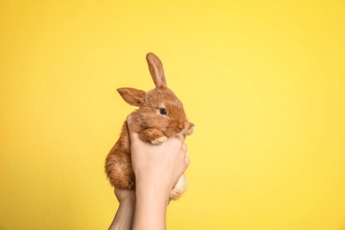 Photo of Woman holding adorable rabbit on color background