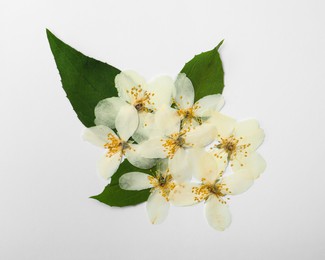 Photo of Wild dried meadow flowers on white background, top view