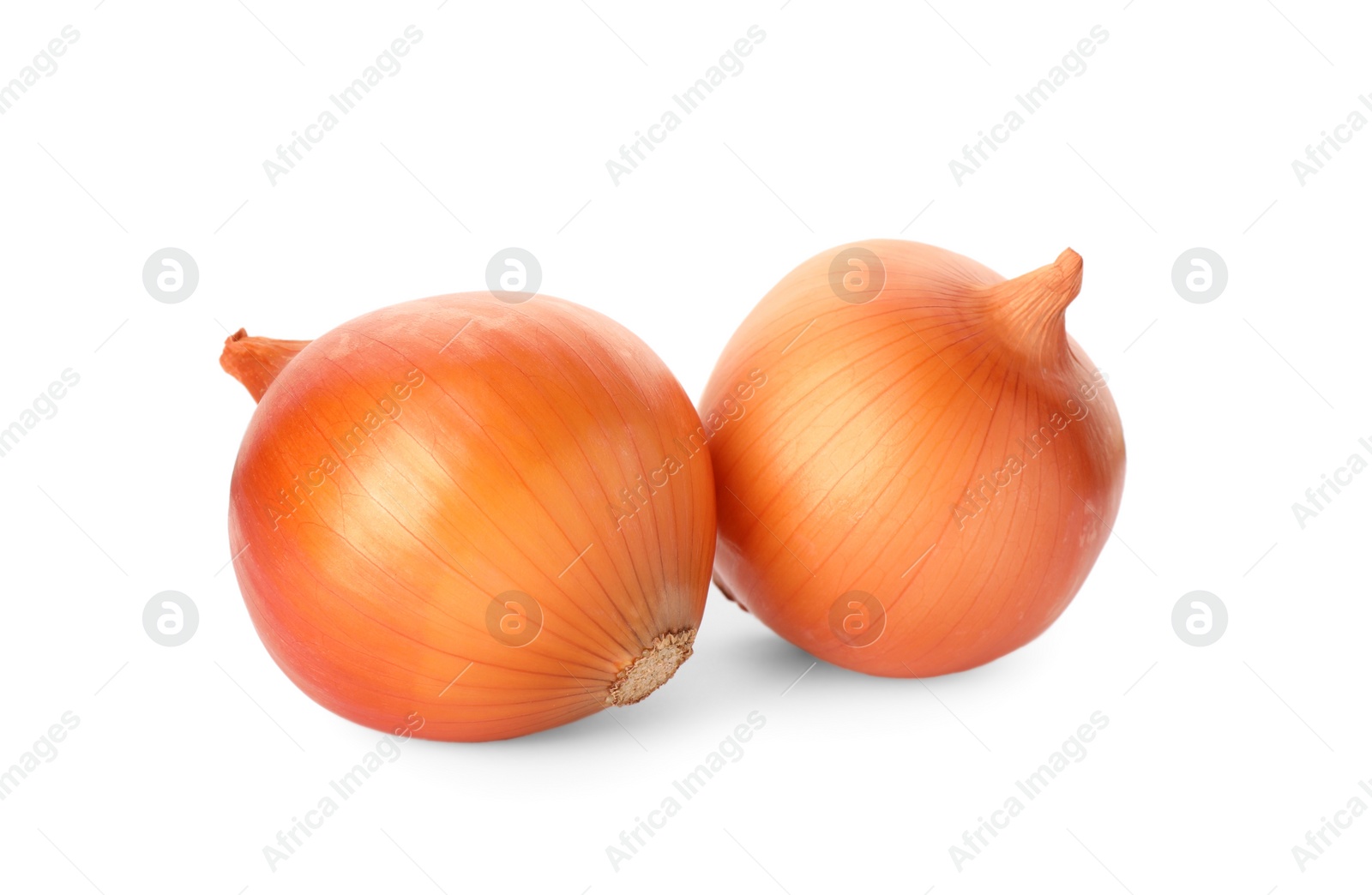 Photo of Two fresh unpeeled onions on white background