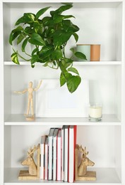 Beautiful houseplant, books and decor on white shelving unit indoors