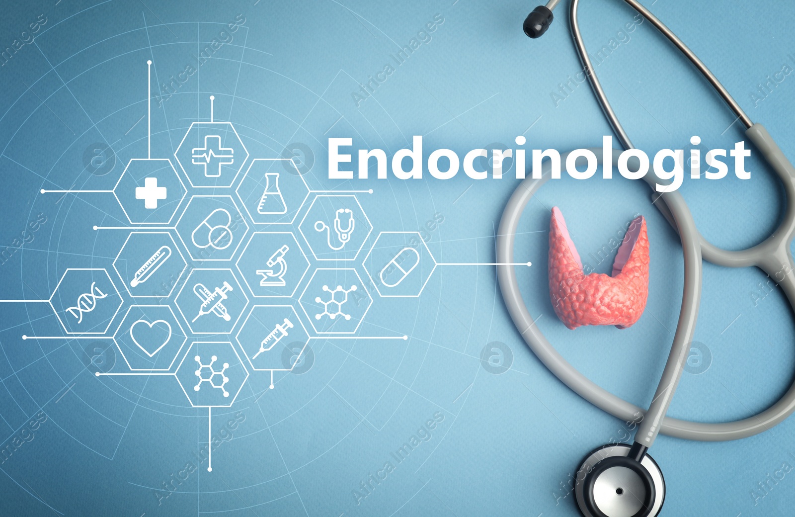 Image of Word Endocrinologist and scheme with icons. Plastic model of afflicted thyroid and stethoscope on light blue background, flat lay