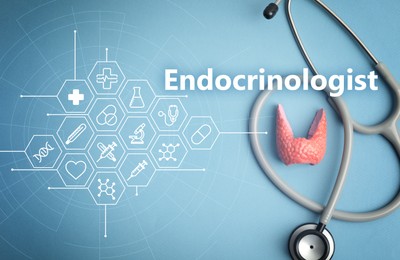 Image of Word Endocrinologist and scheme with icons. Plastic model of afflicted thyroid and stethoscope on light blue background, flat lay