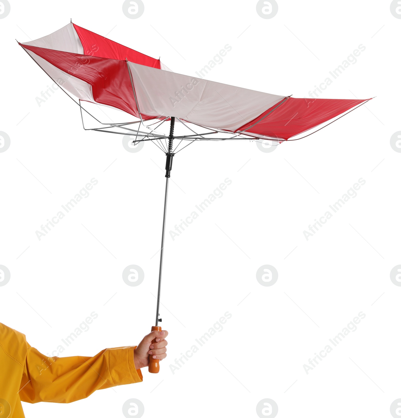 Photo of Woman with umbrella caught in gust of wind on white background, closeup