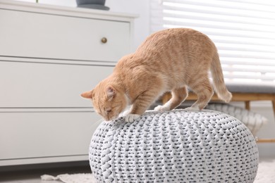 Cute ginger cat on pouf at home