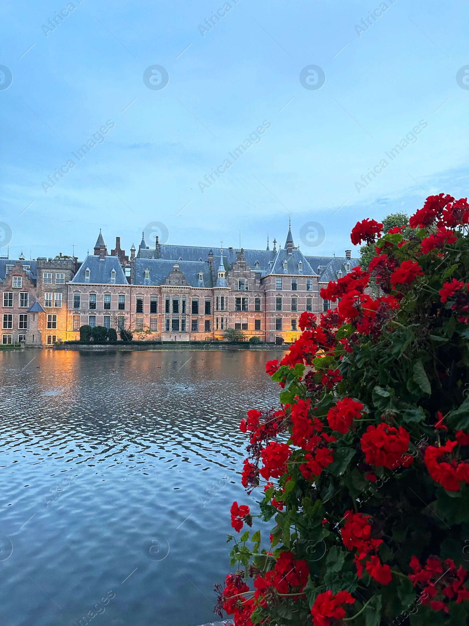 Photo of Beautiful view of red flowers and buildings on riverside in city