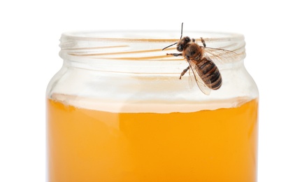 Photo of Jar with honey and bee on white background