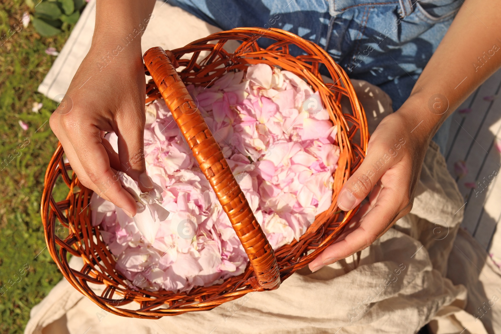 Photo of Woman with basket of beautiful tea rose petals on green grass, top view