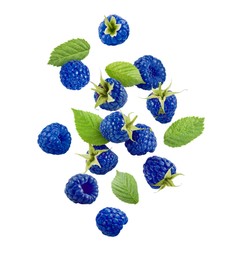 Image of Many fresh blue raspberries and green leaves falling on white background