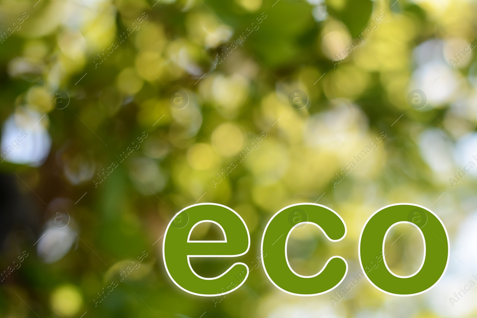 Image of Word ECO on blurred green background. Bokeh effect