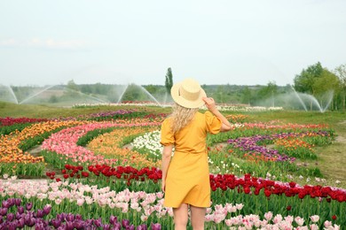 Photo of Woman wearing wicker hat in beautiful tulip field, back view