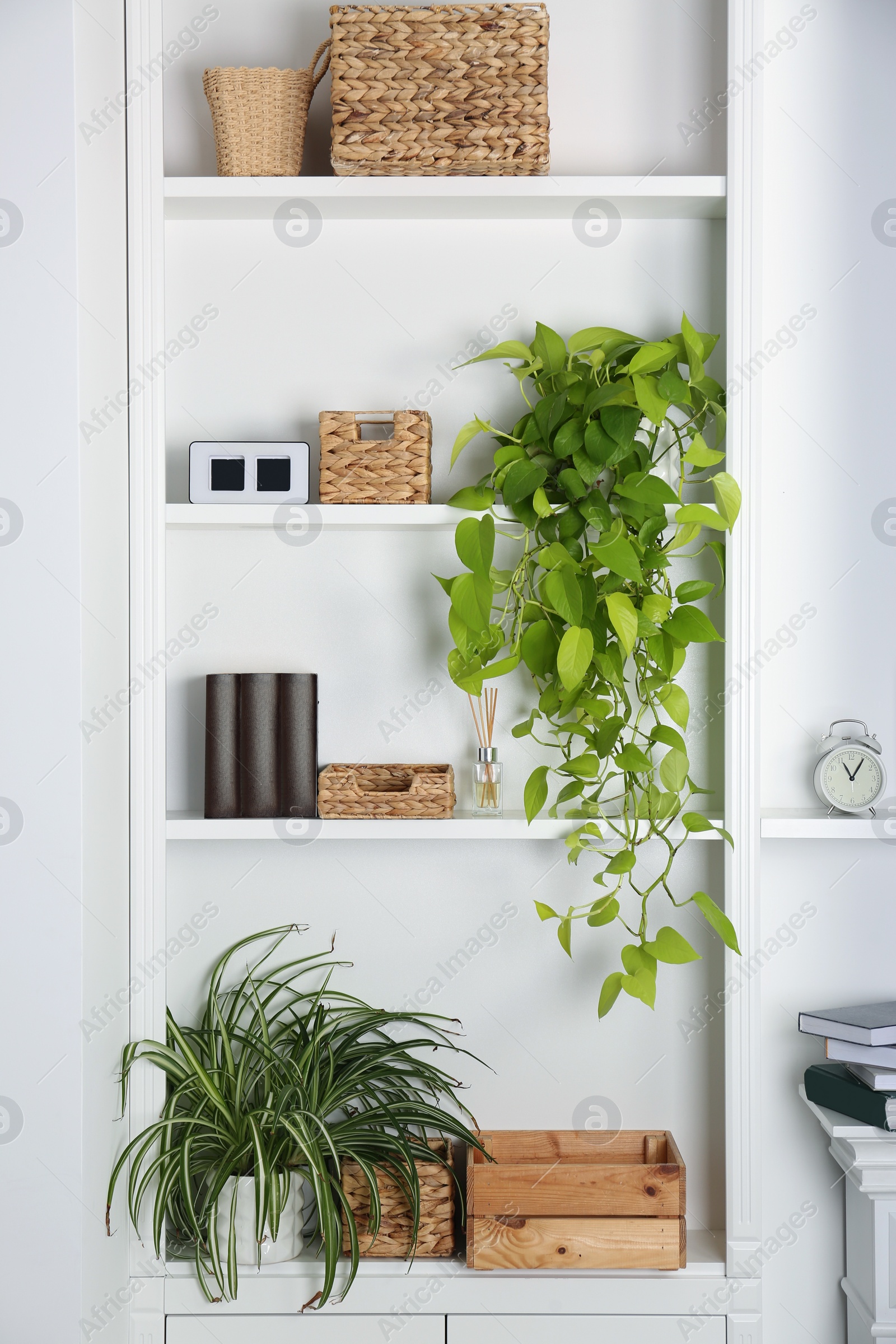 Photo of White shelving unit with houseplants and different decor elements in room. Interior design