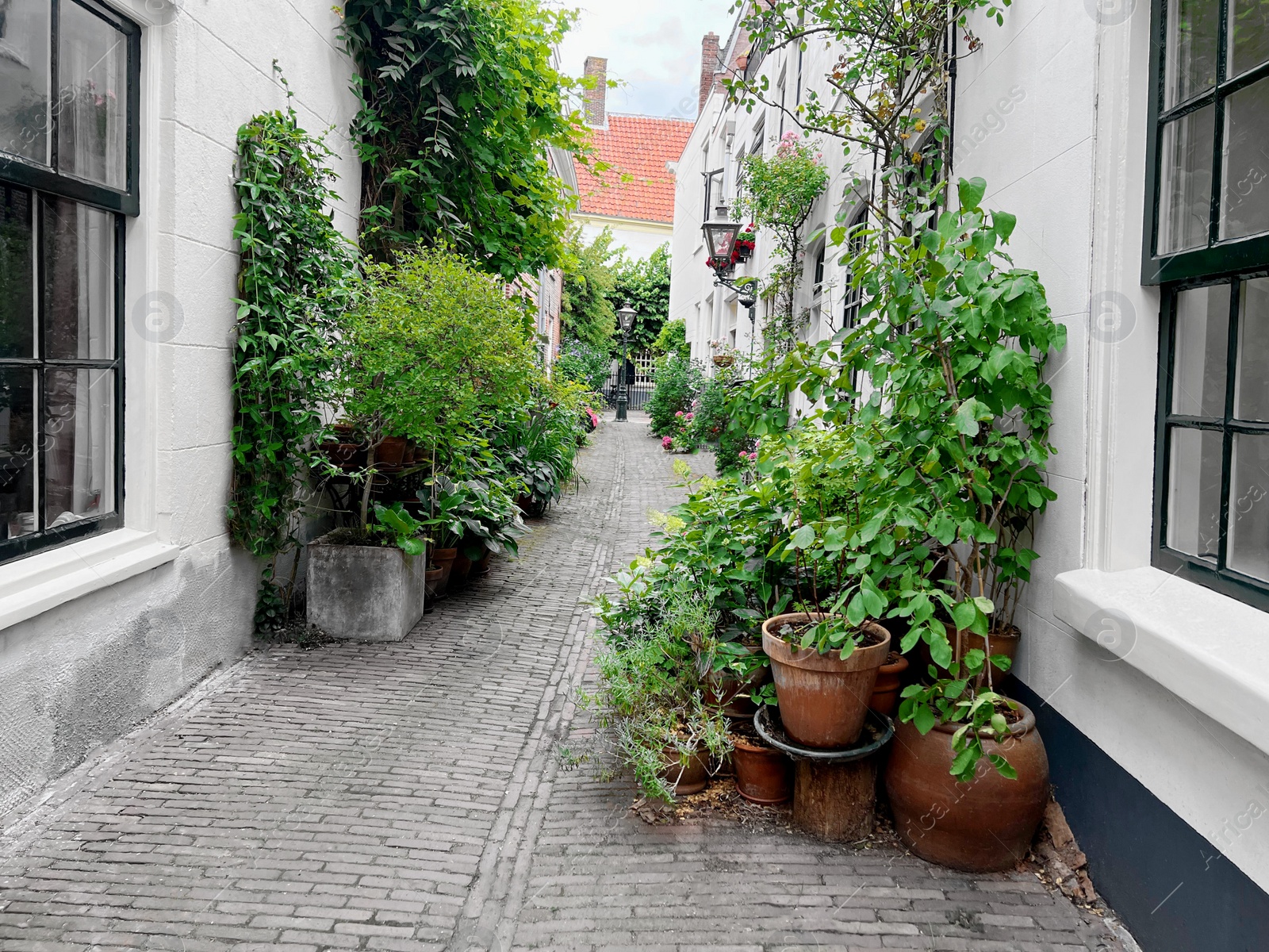 Photo of Beautiful view of city street with buildings and plants on sunny day