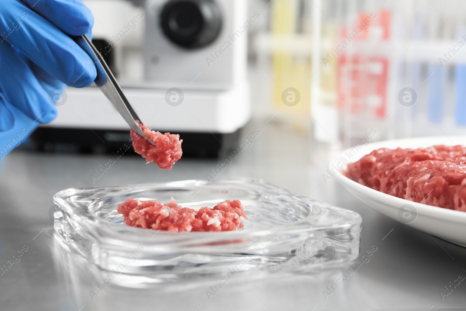 Photo of Scientist checking meat at table in laboratory, closeup. Quality control