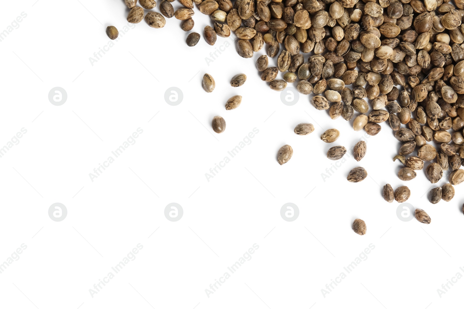 Photo of Hemp seeds on white background, top view