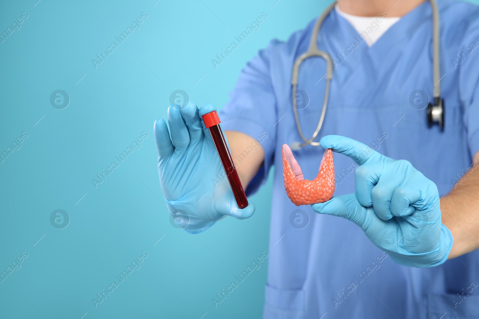 Photo of Endocrinologist showing thyroid gland model and blood sample on light blue background, closeup. Space for text