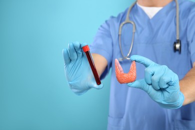 Photo of Endocrinologist showing thyroid gland model and blood sample on light blue background, closeup. Space for text